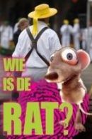 Wie is de Rat in Alkmaar